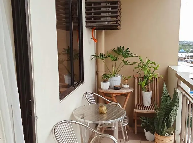 Joey's Place Calathea Dmci Manila